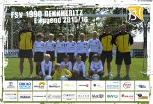 Mannschaftsfoto - E-Junioren - 2015/2016